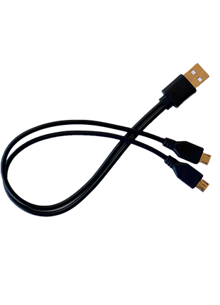 Dual-pronged Charging Cable